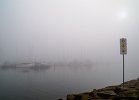 foggy morning